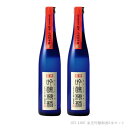 【ふるさと納税】梅酒【東光】500ml×2本 吟醸梅酒 日本一の梅酒セット