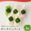 【ふるさと納税】 ポーチジェラート 5種 (130ml×5個) | 山形県産 秘伝豆 ずんだ ラフランス シャーベット 日本海産 塩ミルク 京都 宇治抹茶 苺ミルク 手づくり パウチ スイーツ おやつ お土産 手土産 贈り物 山形県 米沢市(4)