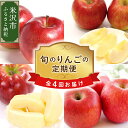 【ふるさと納税】【先行予約 定期便】 令和6年産 りんごの定