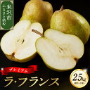 ラ・フランス 【ふるさと納税】【先行予約】 令和6年産 プレミアム ラ・フランス 2.5kg 約 5～9玉 11月中旬頃～お届け ラフランス 置賜限定 2024年産 産地直送 園地限定 山形県 米沢市