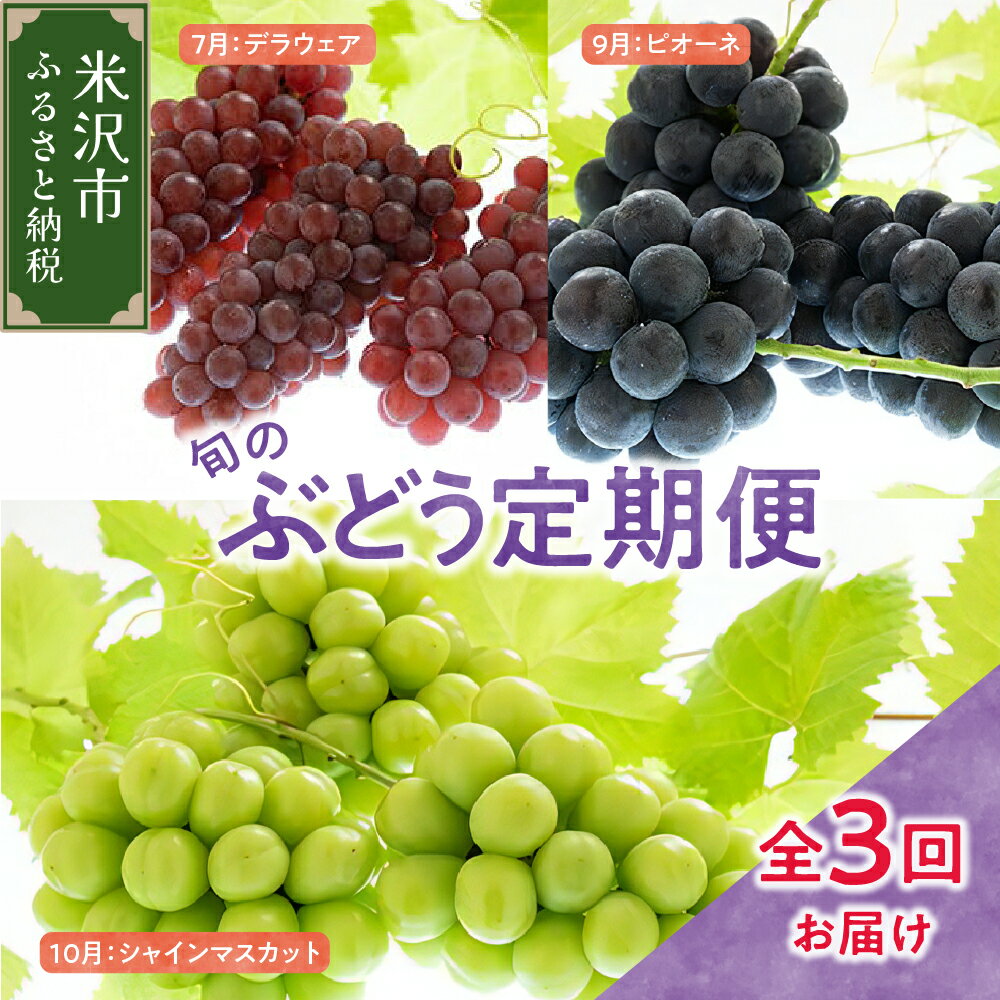 【ふるさと納税】【先行予約】定期便 令和8年産 ぶどうの定期便 全3回 デラウェア ピオーネ シャインマスカット 2026年7月下旬頃～ お届け予定