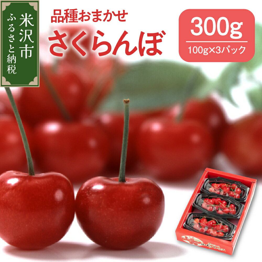 【ふるさと納税】 先行予約 令和6年産 さくらんぼ 300g バラ詰め ( 100g × 3 パック ) 品種 おまかせ ( 佐藤錦 紅秀峰 紅てまり 大将錦 のいずれか ) 2024年産 サクランボ 山形産 山形県産 フルーツ 果物 くだもの 桜桃 贈答 ギフト