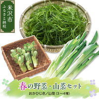 【ふるさと納税】春の山菜セット 伝統野菜 おかひじき 山菜 3~4種類 春野菜 野菜2025年産 地場野菜 春の味覚 春山菜 産地直送 うるい わらび みず ふき タラの芽 おまかせ 山形県 米沢市 春 旬