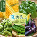 【ふるさと納税】【令和7年産 先行予約】夏野菜 セット トウモロコシ ピーマン 長茄子 キュウリ 枝豆【8月上旬〜下旬頃お届け】2025年産 旬の野菜 夏 BB...