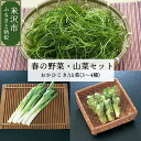 【ふるさと納税】【 令和6年産 】 春 の 山菜 セット 先行予約 伝統野菜 おかひじき 山菜 3～4種類 春野菜 野菜 〔 5月上旬 ～ 6月上旬お届け 〕 2024年産 地場野菜 春の味覚 春山菜 天然 山のめぐみ 産地直送 うるい わらび みず ふき タラの芽 おまかせ 食べ比べ 山形県産