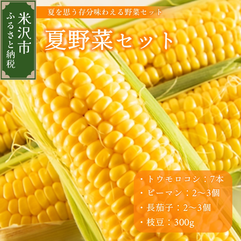 【ふるさと納税】《先行予約》 令和5年産 夏野菜セット トウモロコシ ピーマン 長茄子 枝豆 〔8月上旬～下旬頃発送予定〕 旬の野菜 BBQ野菜 夏の味覚 おつまみ 食べ比べ 詰め合わせ 贈答 ギフト 山形県 米沢市のサムネイル