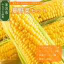 3位! 口コミ数「1件」評価「4」【 令和6年産 】 夏野菜 セット 先行予約 トウモロコシ ピーマン 長茄子 枝豆 〔 8月上旬～下旬頃お届け 〕 2024年産 旬の野菜 ･･･ 