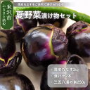 【ふるさと納税】【 令和6年産 】 夏野菜 漬け物セット 薄皮丸なす 先行予約 茄子漬 漬け物キット 漬け物 〔 9月上旬 ～ 10月中旬頃お届け 〕 2024年産 旬 夏 野菜 伝統野菜 なす漬 三五八 夏の味覚 食べ比べ 浅漬け 産地直送 詰め合わせ 贈答 ギフト 山形県 米沢市