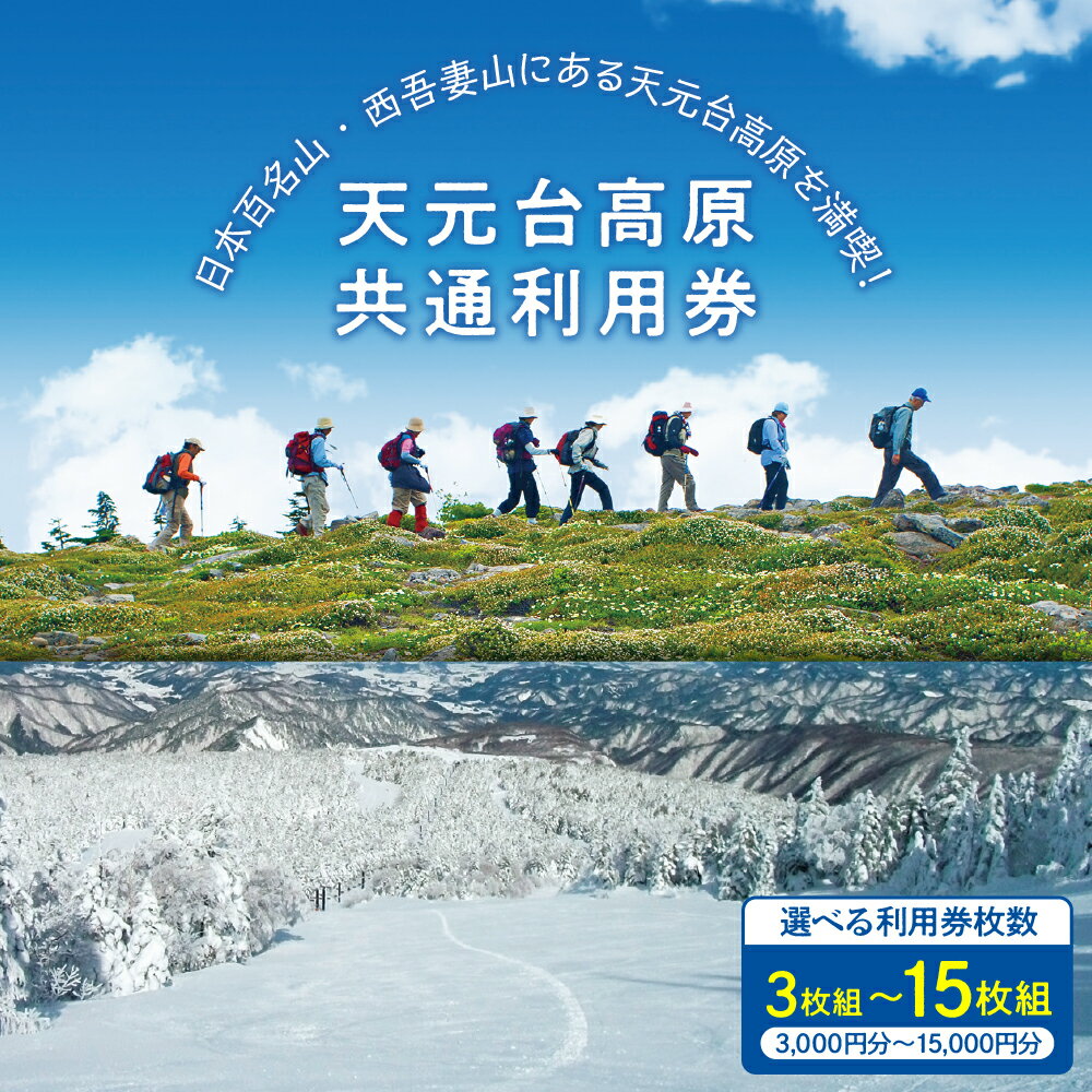 天元台高原 共通利用券 選べる枚数 3枚組 ( 3,000円 ) 5枚組 ( 5,000円 ) 10枚組 ( 10,000円 ) 15枚組( 15,000円 ) トレッキング スキー スノ−ボード