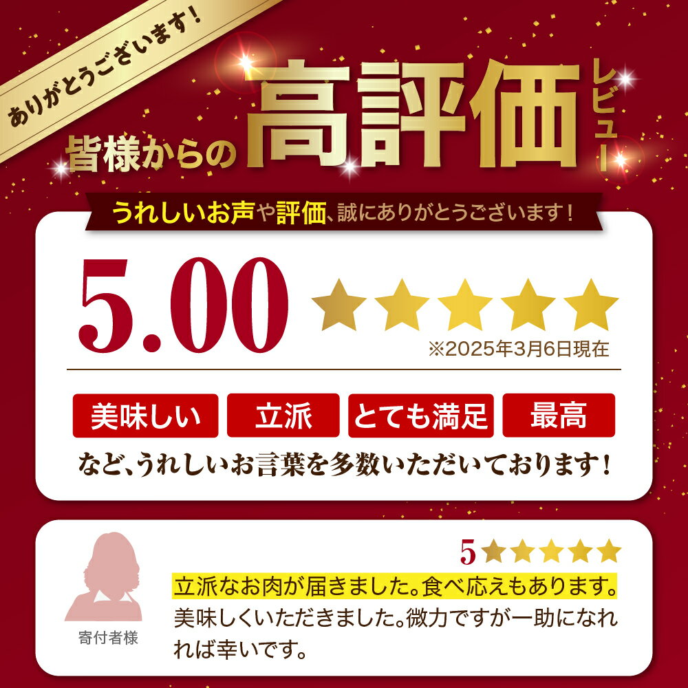 【ふるさと納税】＼レビューキャンペーン／牛肉 焼肉 米沢牛 量が選べる (380g / 600g / 1kg) 冷蔵ブランド牛 和牛 黒毛和牛 霜降り肉 焼き肉 国産 牛 日本三大和牛 人気 グルメ お取り寄せ 送料無料 贈答 お祝い 山形県 米沢市