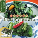 【ふるさと納税】 おみ漬け 青菜漬けセット ( 220g ×各4袋 計8個) 《山形のお漬物をセットにしてお届け》 山形県 米沢市
