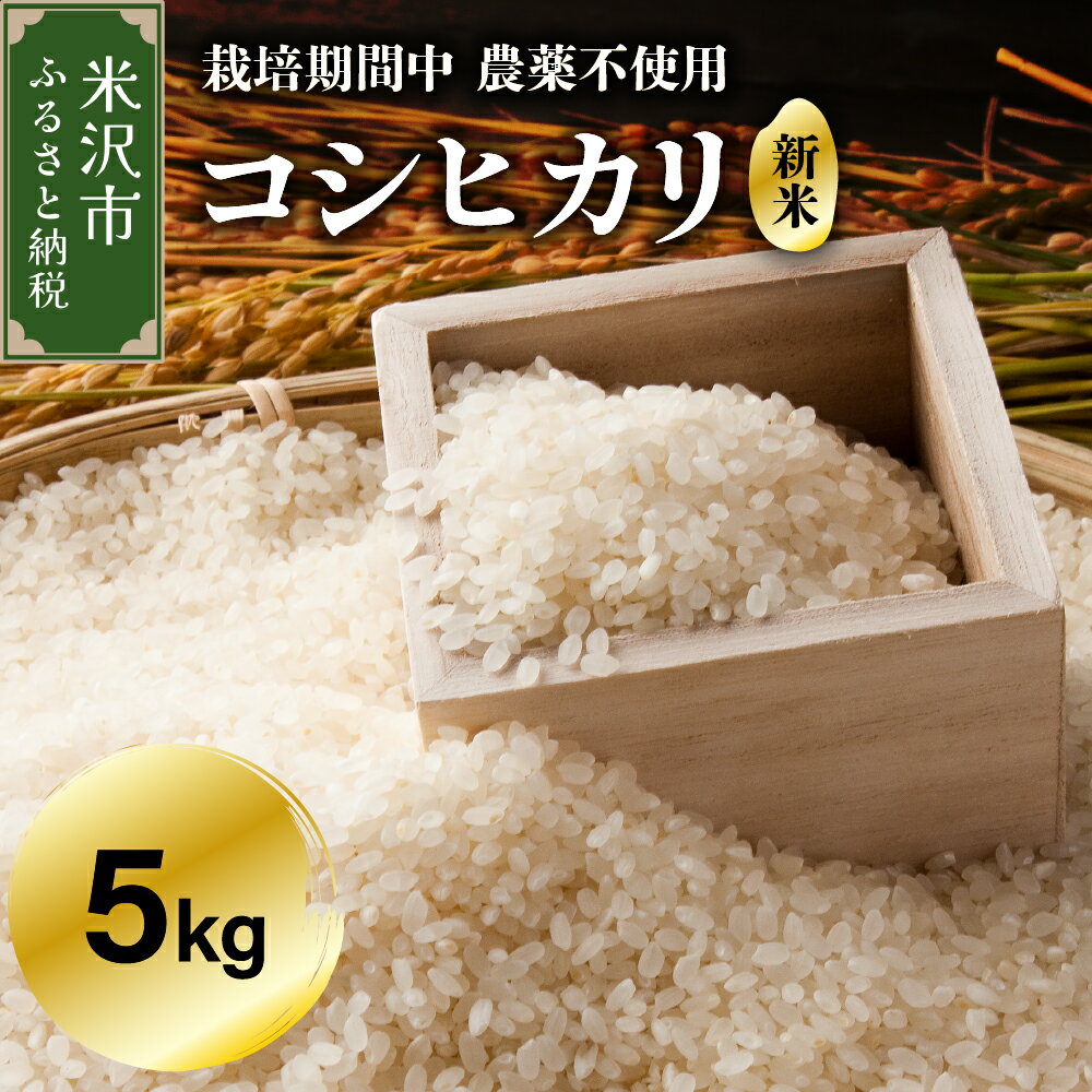 [ 先行予約 ][ 令和6年産 新米 ] コシヒカリ 5kg 栽培期間中 農薬不使用 化学肥料不使用 産地直送 農家直送 2024年産 米沢産 米 ブランド米 精米 白米 送料無料 お取り寄せグルメ 山形県 米沢市