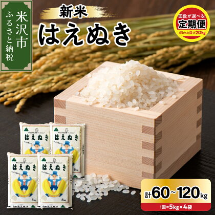 【令和6年産 新米】はえぬき 選べる定期便 (1回 20kg 5kg×4袋) (3ヶ月 計60kg 6ヶ月 計120kg ) 2024年産 山形県 米沢市産 精米 米 白米 お米 ブランド米 お米マイスター 厳選米 山形県 米沢市 送料無料