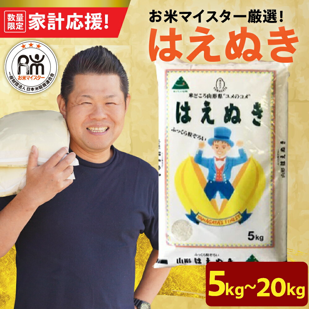【ふるさと納税】《 先行予約 》【 令和6年産 新米 】 はえぬき 選べる内容量 計 8kg ( 2kg × 4袋 ) 計 10kg ( 5kg × 2袋 ) 計 20kg ( 5kg × 4袋 ) おうちごはん応援米 2024年産 精米 米 白米 ブランド米 お米マイスター 山形県 米沢市 送料無料のサムネイル