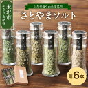 【ふるさと納税】《山形県産 山菜塩使用》 さとやまソルト 計6本 (6種類 各1本 約20g) セット 山菜 塩 しお 調味塩 酒田の塩 調味料 料理 山菜 贈...