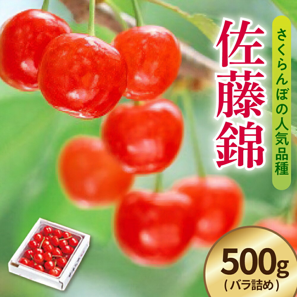 《 先行予約 》 令和6年産 さくらんぼ 佐藤錦 500g （ バラ詰め ）〔R6年 6月中旬 ～下旬頃 お届け〕 2024年産 サクランボ 山形産 山形県産 フルーツ 果物 くだもの 桜桃 山形県 米沢市