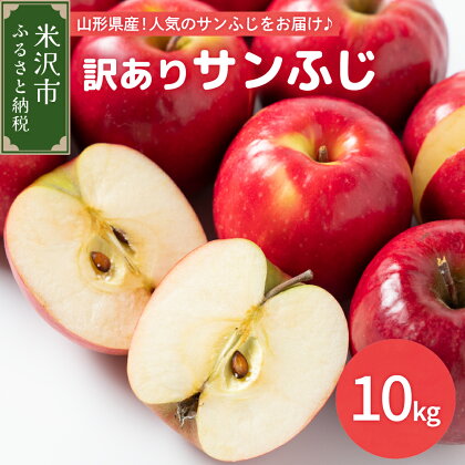 《 先行予約 》【 令和6年産 】 訳あり りんご ( サンふじ ) 10kg 〔 2024年11月中下旬頃 ～ お届け 〕 自宅用 家庭用 キズ等 規格外 不揃い 傷 2024年産 リンゴ 林檎 アップル フルーツ 果物 くだもの 山形県産 米沢市