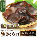 【ふるさと納税】《先行予約》【期間限定】 米沢産 生きくらげ 選べる内容量(計 600g / 1.2kg ) 6〜10月中旬頃配送 キクラゲ 木耳 きのこ キノ...