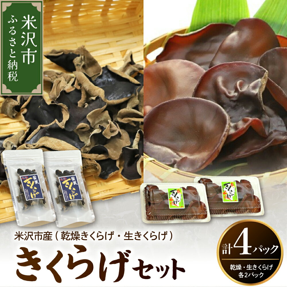 【ふるさと納税】《先行予約》【 期間限定 】 きくらげ セット 計 4セット( 生きくらげ 2パック 乾燥きくらげ 2袋 )〔 2026年 6月 〜 10月 中...