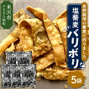 【ふるさと納税】自然栽培 そば 使用 塩蕎麦 バリボリ 40g × 5袋 計200g 1袋 40g スナック 揚げスナック 手作り お菓子 菓子 おつまみ そば...