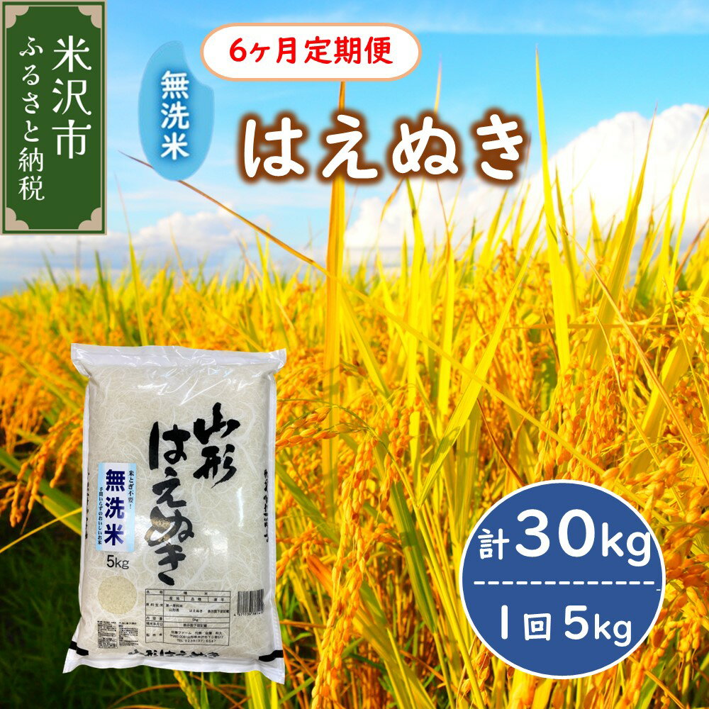 【ふるさと納税】【 6ヶ月定期便 】 無洗米 はえぬき 5kg × 6回 （ 計 30kg ） 全6回 配送 農家直送 お米 2023年産 令和5年産 送料無料 山形県 米沢市