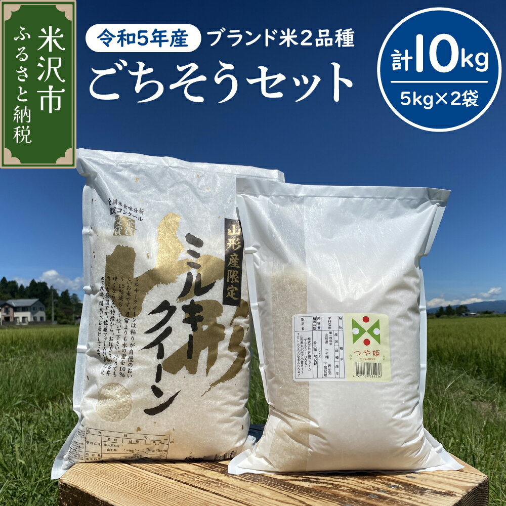 【ふるさと納税】【令和5年産】ごちそうセット 計10kg つ