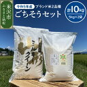 【ふるさと納税】【令和5年産】ごちそうセット 計10kg つや姫 ミルキークイーン 各5kg 農家直送 2023年産 米沢産 精米 米 お米 白米 ブランド米 食べ比べ 2品種 セット 山形県 米沢市