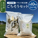 【ふるさと納税】令和7年産 新米 米 つや姫 ミルキークイーン 各 5kg 計 10kg ごちそう セット 発送時期が選べる 2品種 食べ比べ 農家直送 202...