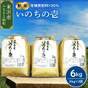 先行予約 山形大粒大満足セット 計 6kg ( いのちの壱 2kg × 3袋 ) 農家直送 2024年産 米沢産 いのちのいち 6キロ 精米 米 お米 白米 ごはん 簡単 手軽 お取り寄せグルメ 常温配送 送料無料 山形県 米沢市