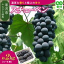 【ふるさと納税】【先行予約 数量限定】令和7年産 スチューベン 2kg 5~6房 ぶどう【9月下旬~10月下旬頃お届け】2025年産 農家直送 産地直送 令和7年 種あり ブドウ 葡萄 フルーツ 果物黒系 黒ぶどう 観光果樹園 山形県 米沢市 秋 旬