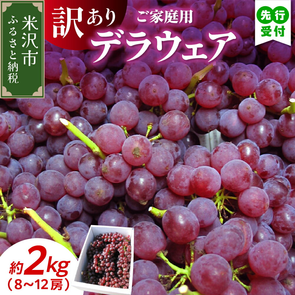 【ふるさと納税】【先行予約】令和7年産 家庭用 訳あり デラウェア 2kg 8～12房 種無し ぶどう【8月下旬～9月下旬頃お届け】2025年産 農家直送 産地直送 ブドウ 葡萄 種無し フルーツ 果物 くだもの 山形産 お試し 山形県産 米沢市のサムネイル