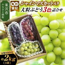 【ふるさと納税】【 先行予約 数量限定 】【 令和7年産 】 シャインマスカット 入り 3色 大粒 ぶどう 詰合せ 2.0kg 3房 ( 9月中旬 〜 下旬頃 ...