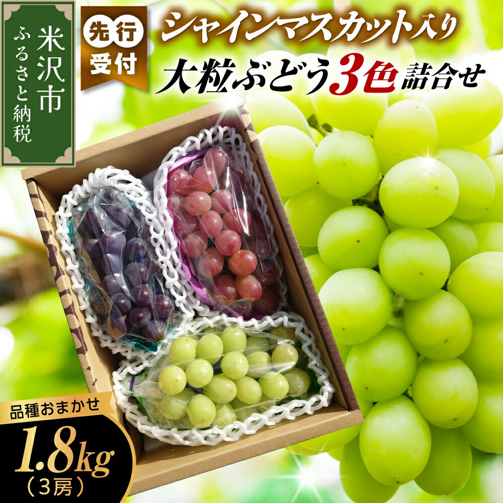 【ふるさと納税】【先行予約】【数量限定】【令和8年産】シャインマスカット入り 3色 大粒ぶどう 詰合せ 3種類 1.8kg 3房 2026年9月15日～9月30日頃お届け予定