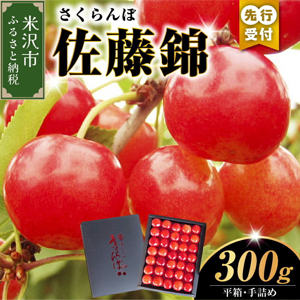 [先行予約][数量限定][令和8年産]さくらんぼ 佐藤錦 300g 平箱 手詰め 秀L以上 2026年6月中旬〜下旬頃お届け予定