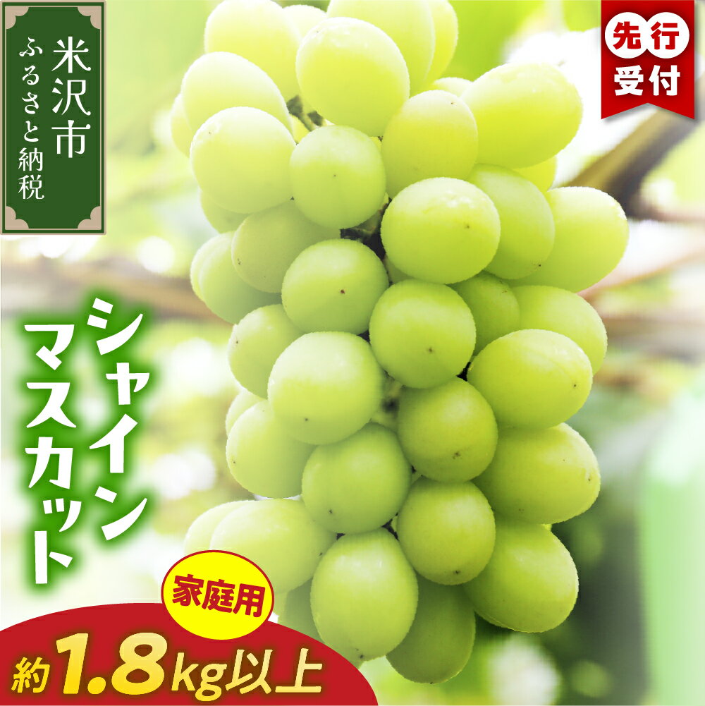 【ふるさと納税】【先行予約】【数量限定】【令和8年産】ぶどう 家庭用 訳あり シャインマスカット 1.8kg 2026年9月中旬 ～ お届け 〕 2025年産9月15日～9月30日頃お届け予定