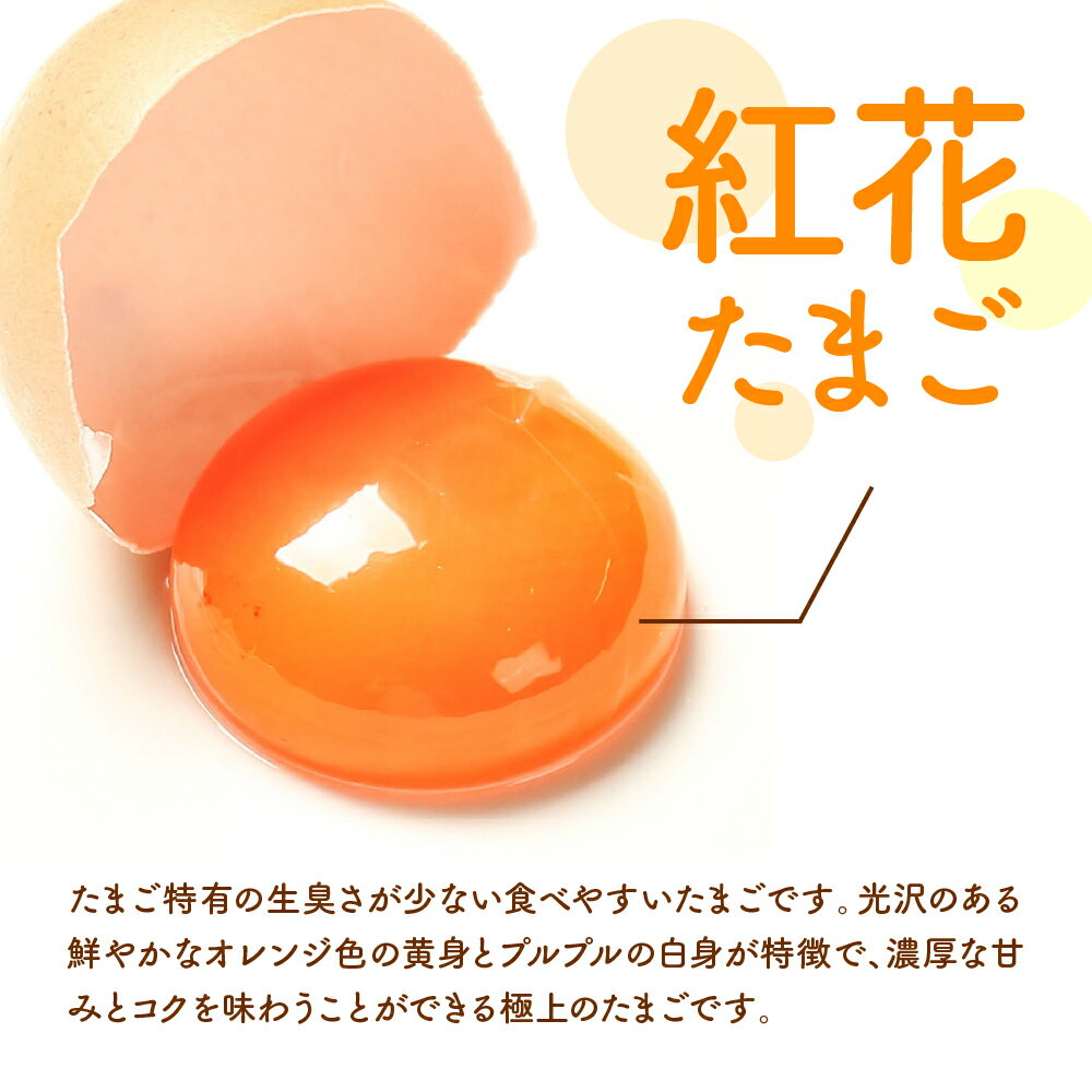 【ふるさと納税】紅花たまご セット ( 内容量が選べる 30個 / 60個 ) 卵 たまご 赤玉 鶏卵 黄身 白身 産みたて 卵かけ ご飯 親子丼 オムレツ 朝食 たんぱく質 新鮮 栄養 濃厚 甘み コク 山田鶏卵 送料無料 山形県 米沢市