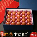 【ふるさと納税】特選 紅花 生たまご 20個 / 贈答 ギフト 卵 赤玉 鶏卵 黄身 白身 産みたて 卵かけ ご飯 親子丼 オムレツ 朝食 たんぱく質 新鮮 栄...