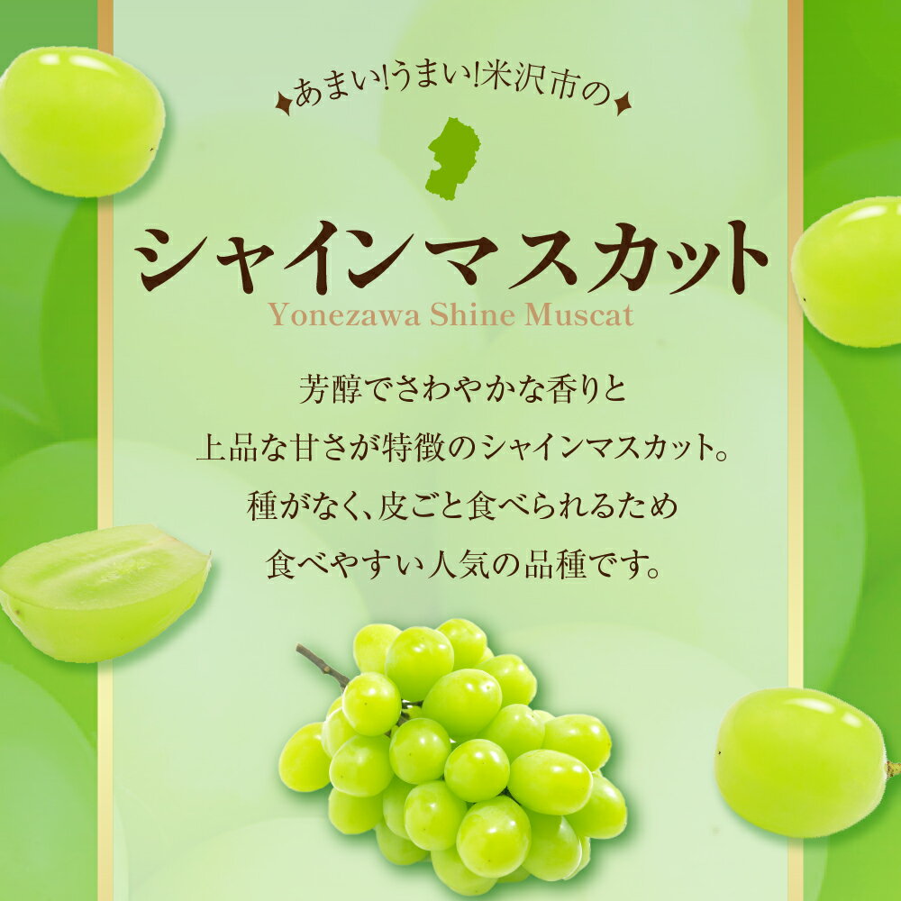 【ふるさと納税】【先行予約】【令和7年産】【 数量限定 】シャインマスカット 3パック〔 2025年9月中旬頃 ～ お届け 〕 ぶどう 白ぶどう 2025年産 ブドウ 葡萄 フルーツ 果物 くだもの 粒パック 種なし 山形県産 産地直送 農家直送 山形県 米沢市