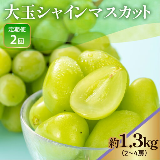 【ふるさと納税】《 先行予約 / 令和7年産 》【 定期便 】 山形県産 大玉シャインマスカット 1.3kg (2.4房) 2回〔 2025年9月下旬頃 〜 お届け 〕 ぶどう 白ぶどう 2025年産 山形県 米沢市 【ふるさと納税】《 先行予約 / 令和7年産 》【 定期便 】 山形県産 大玉シャインマスカット 1.3kg (2.4房) 2回〔 2025年9月下旬頃 〜 お届け 〕 ぶどう 白ぶどう 2025年産 山形県 米沢市