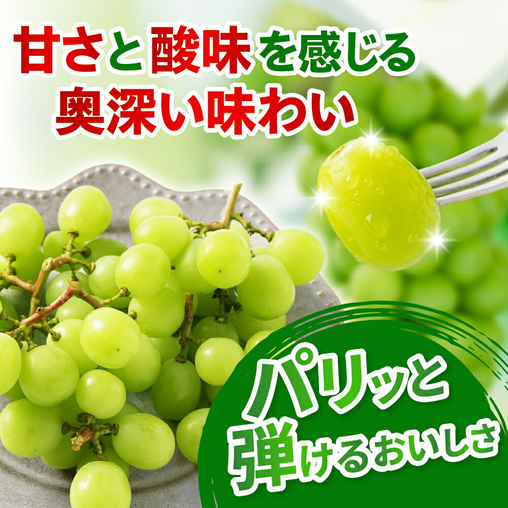 【ふるさと納税】【先行予約】 【数量限定】 令和8年産 シャインマスカット 210g × 3パック 計 630g 2026年9月上旬頃～お届け予定