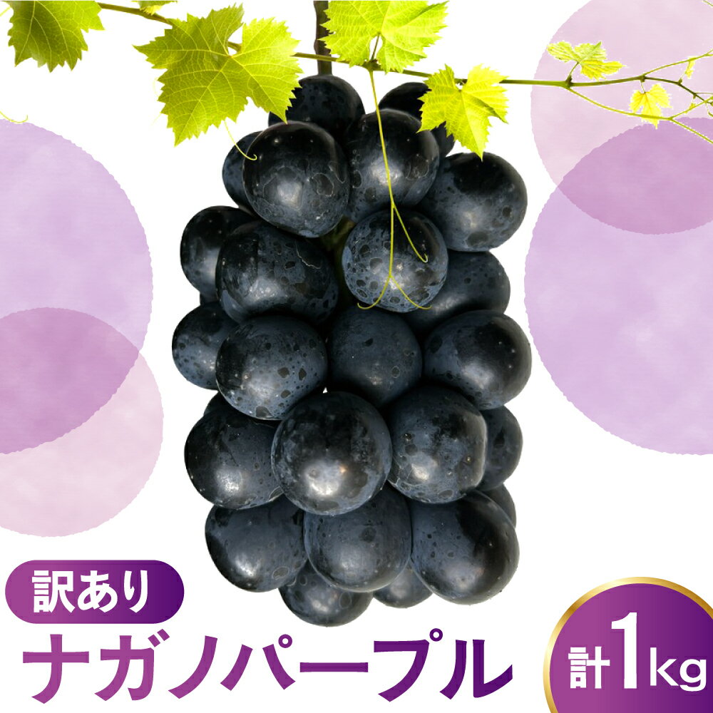 [先行予約] 令和8年産 訳あり ぶどう ナガノパープル 1kg 2026年9月上旬頃〜お届け予定 2026年産 / ぶどう 葡萄 黒ぶどう 黒系 山形県産 2026年産 山形県 米沢市