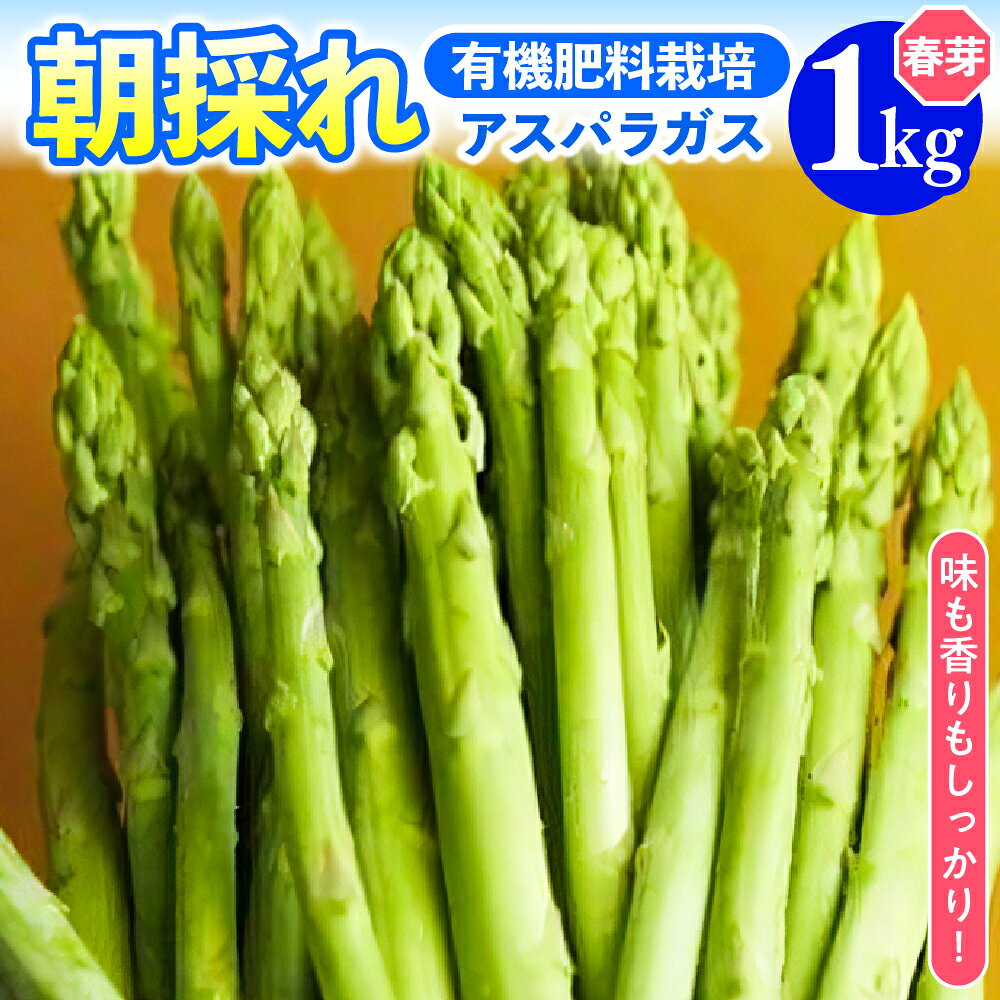 【ふるさと納税】【先行予約 令和8年産】アスパラガス 1kg 1箱 春芽 5月中旬～6月中旬頃発送 朝採り 有機肥料栽培 採りたて 新鮮 農家直送 アスパラ あすぱら 野菜 春野菜 甘い お取り寄せ 山形県 米沢市 産地直送 春 旬 今が旬 山形県 米沢市