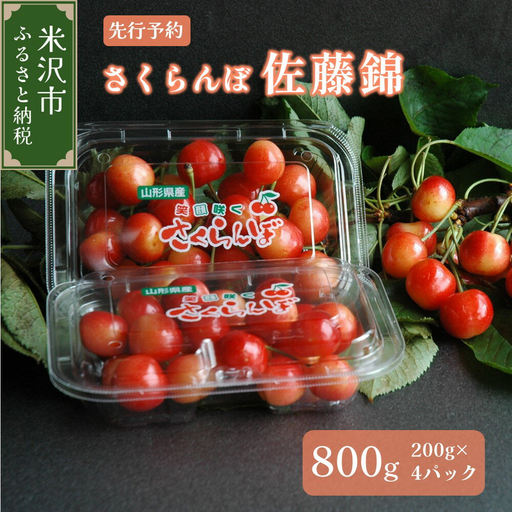 [ 先行予約 / 数量限定 ][ 令和6年産 ] さくらんぼ 佐藤錦 800g ( 200g × 4パック ) バラ詰め ( 6月下旬頃からお届け ) 2024年産 産地直送 R6年産 サクランボ 桜桃 果物 フルーツ 常温配送 送料無料 山形県 米沢市