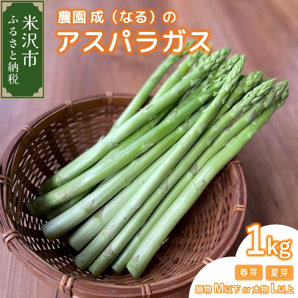 令和6年産 アスパラガス 春芽 / 夏芽 1kg サイズが選べる (細物 M以下 / 太物 L以上) 先行予約 アスパラ 旬 野菜 農園成 産地直送 農家直送 2024年産[2024年7月中旬頃〜発送予定]贈答 ギフト お取り寄せ 送料無料 山形県 米沢市