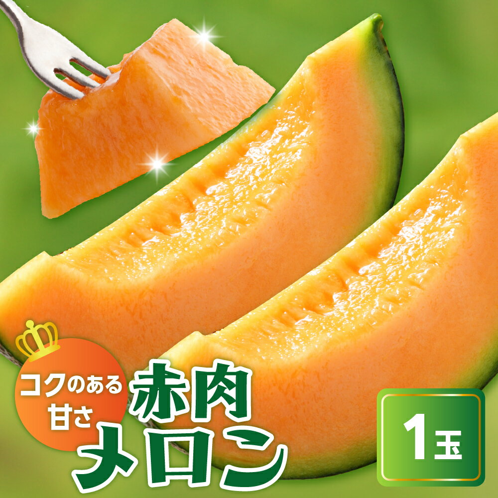[先行予約]〔 令和7年産 〕赤肉メロン(クインシー719)1玉〔 2025年7月中旬〜8月中旬頃お届け 〕 2kg 程度 2025年 果物 フルーツ メロン めろん クインシー719 贈答 プレゼント ギフト 送料無料 山形県 米沢市