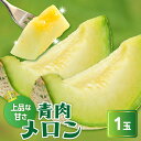 【ふるさと納税】《先行予約》〔 令和7年産 〕青肉メロン(クレセント)1玉〔 2025年7月中旬〜8月中旬頃お届け 〕 2kg 程度 2025年 フルーツ 果物...