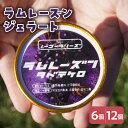 【ふるさと納税】ラムレーズン ジェラート 104ml〔6個入り・12個入り〕 レーズン アイス スイーツ 洋菓子 お菓子 デザート 贈答 贈り物 ギフト プレゼ...