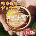 【ふるさと納税】ゆずレモン ジェラート 104ml〔6個入り・12個入り〕ゆず レモン アイス スイーツ 洋菓子 お菓子 デザート 贈答 贈り物 ギフト プレゼ...
