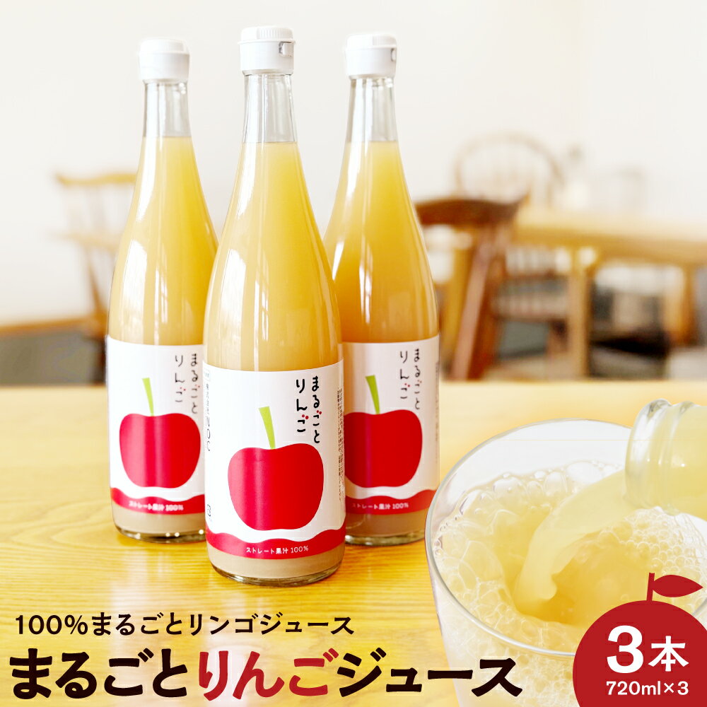 【ふるさと納税】果汁 100% まるごと りんご ジュース 720ml 3本セット