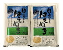 【ふるさと納税】A01-031 はえぬき玄米(10kg)